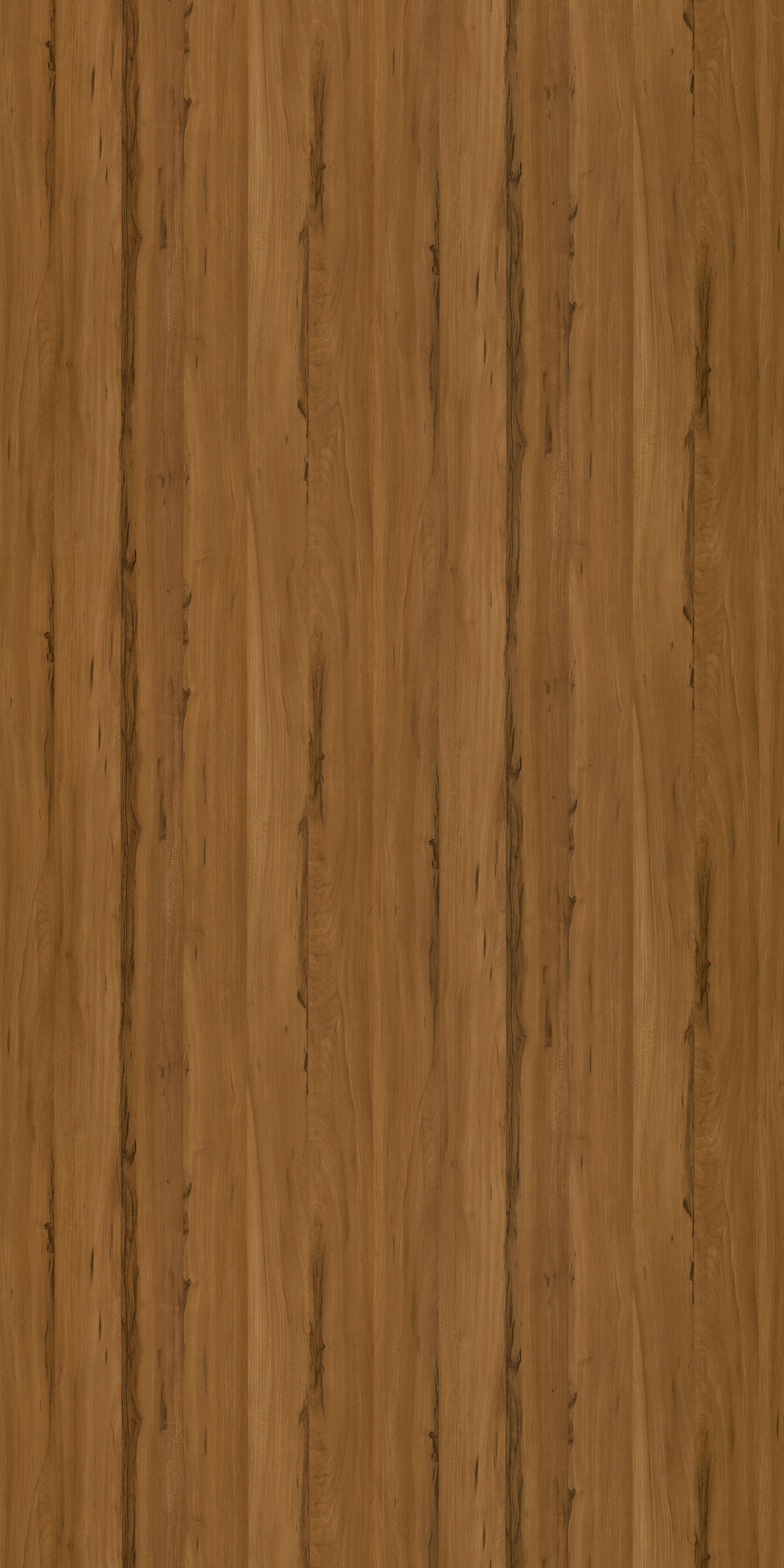 9222  SAP WOOD